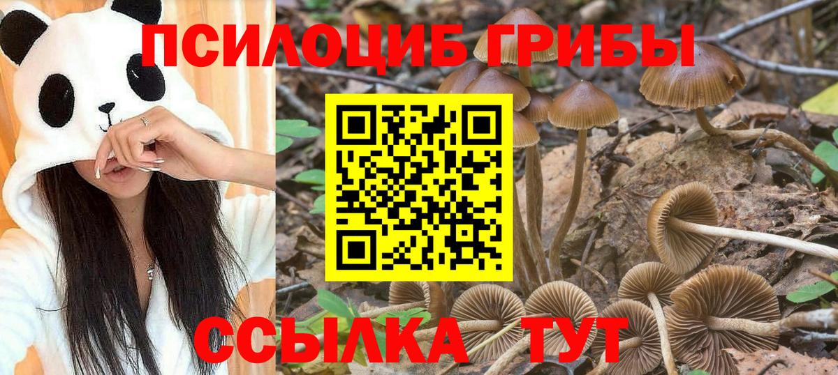 Галлюциногенные грибы прущие грибы Новоалтайск