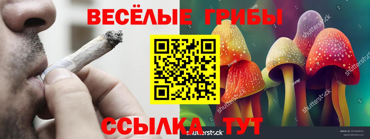 Галлюциногенные грибы Psilocybe  Вход с VPN  Новоалтайск 